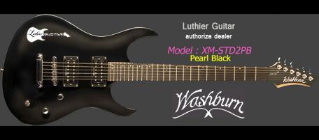 Luthier Guitar - XMSTD-2, The (new) Washburn XM series, 2H Duncan