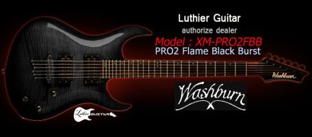 Luthier Guitar - The (new) Washburn XM series model PRO-2, 2H 